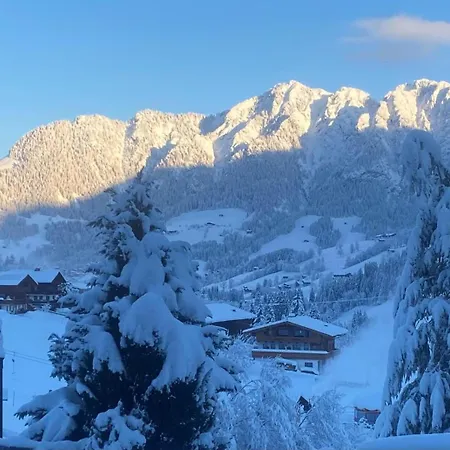 Haus Hislop Daire Inneralpbach
