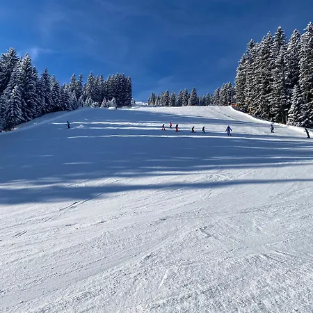 Daire Haus Hislop Inneralpbach