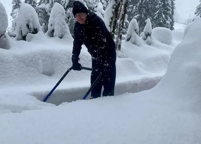 Appartement Haus Hislop Inneralpbach