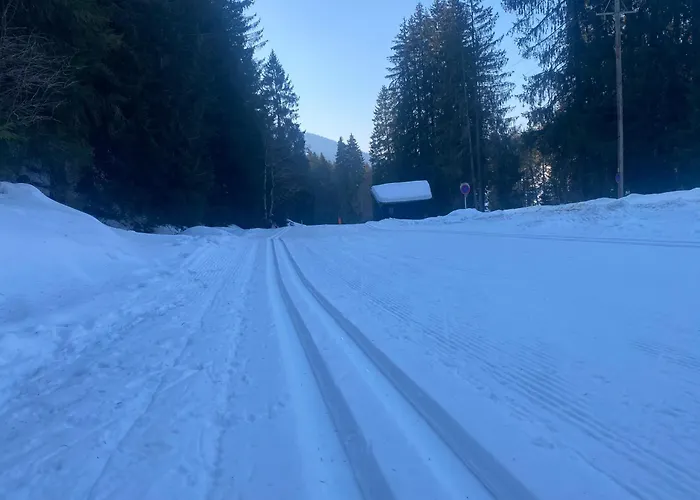 Haus Hislop * Иннеральпбах